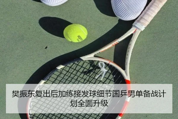 樊振东复出后加练接发球细节国乒男单备战计划全面升级