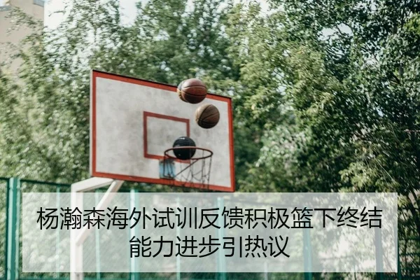 杨瀚森海外试训反馈积极篮下终结能力进步引热议